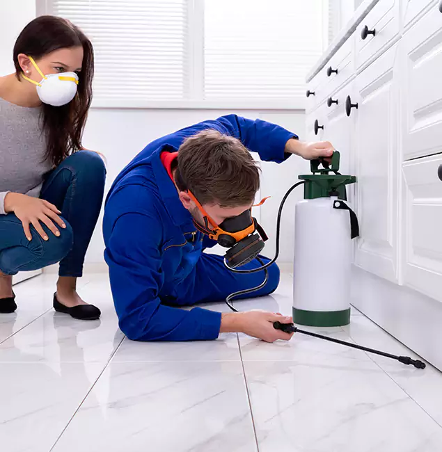 Why Choose Wood Termite Treatment by Meridian Pest Control Pro in Meridian, ID?