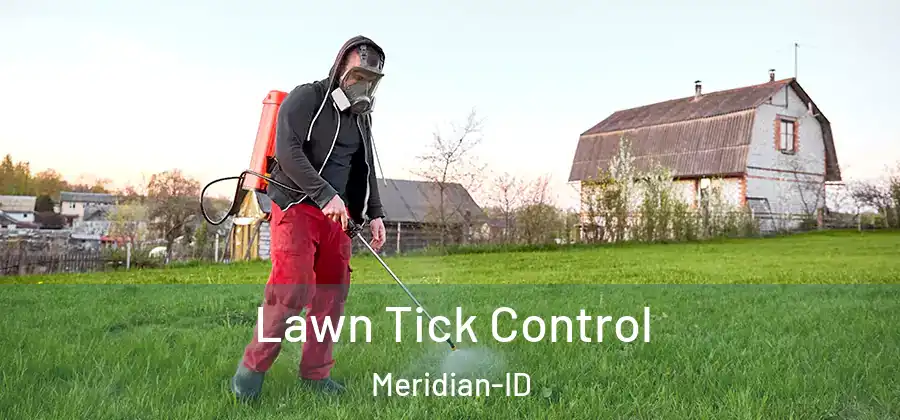 Lawn Tick Control Meridian-ID