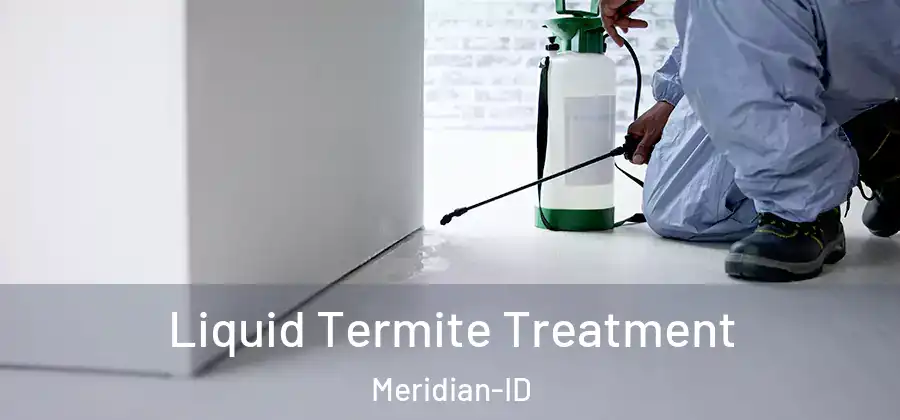  Liquid Termite Treatment Meridian-ID
