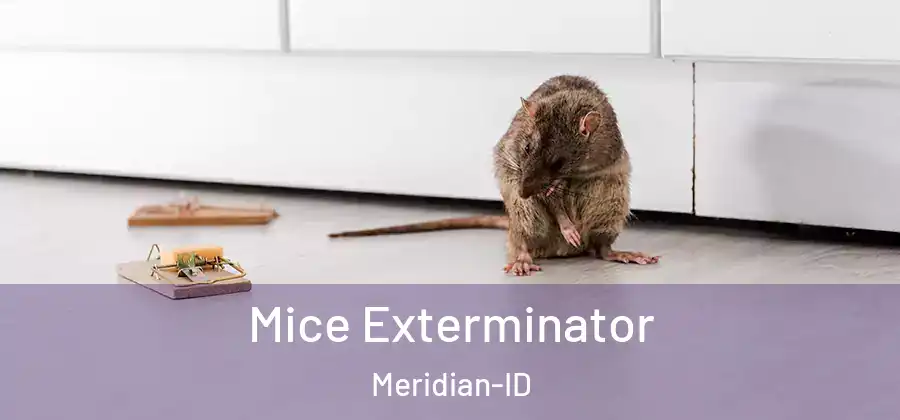Mice Exterminator Meridian-ID