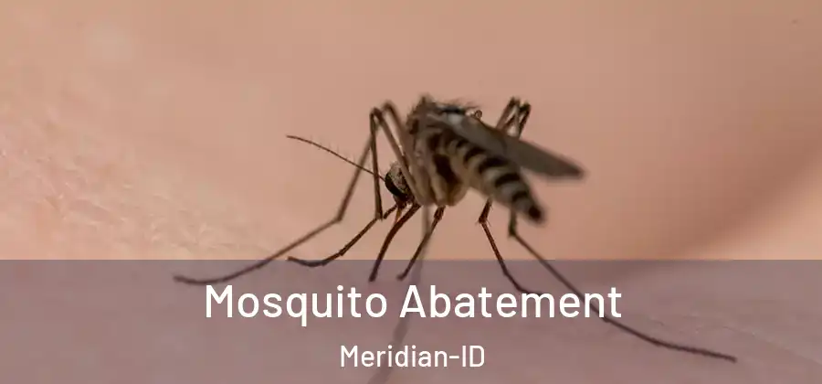 Mosquito Abatement Meridian-ID