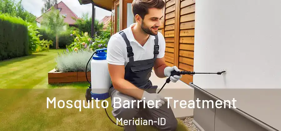 Mosquito Barrier Treatment Meridian-ID