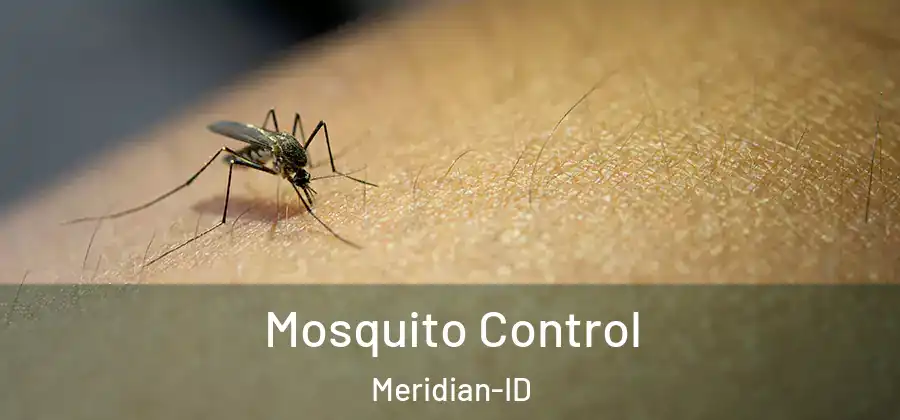 Mosquito Control Meridian-ID