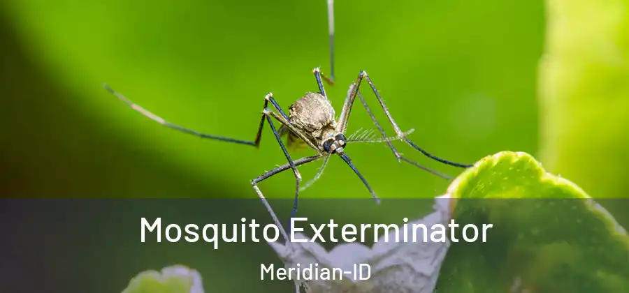  Mosquito Exterminator Meridian-ID