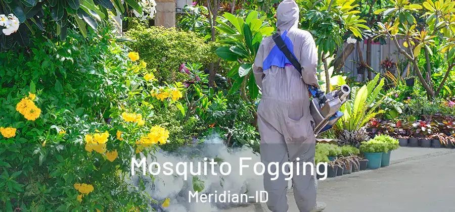 Mosquito Fogging Meridian-ID