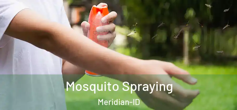 Mosquito Spraying Meridian-ID