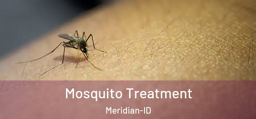 Mosquito Treatment Meridian-ID