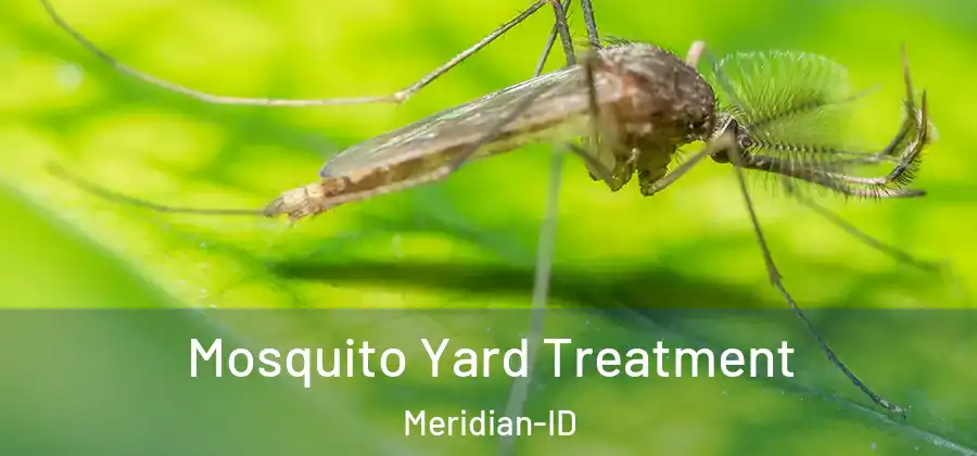  Mosquito Yard Treatment Meridian-ID