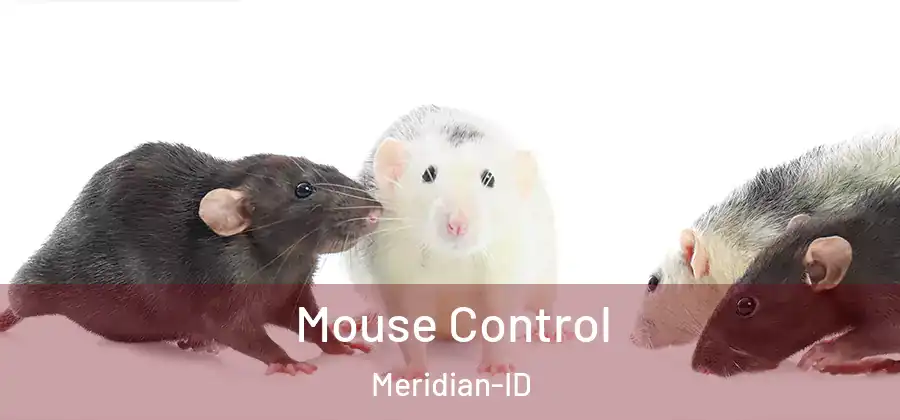 Mouse Control Meridian-ID