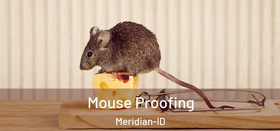  Mouse Proofing Meridian-ID