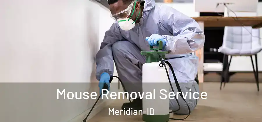 Mouse Removal Service Meridian-ID