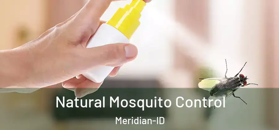 Natural Mosquito Control Meridian-ID