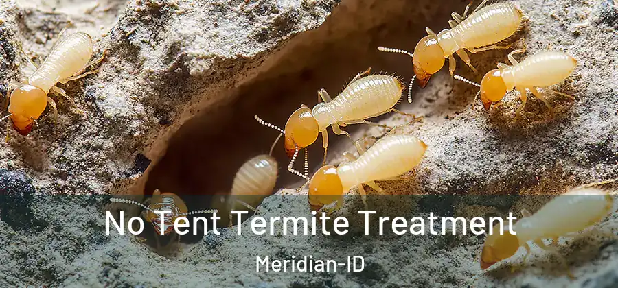 No Tent Termite Treatment Meridian-ID
