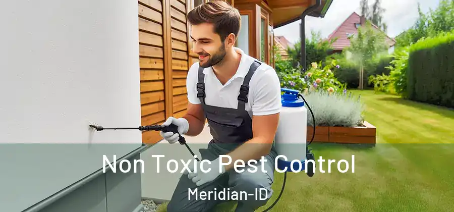  Non Toxic Pest Control Meridian-ID