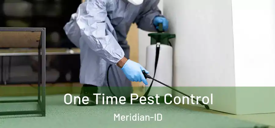 One Time Pest Control Meridian-ID
