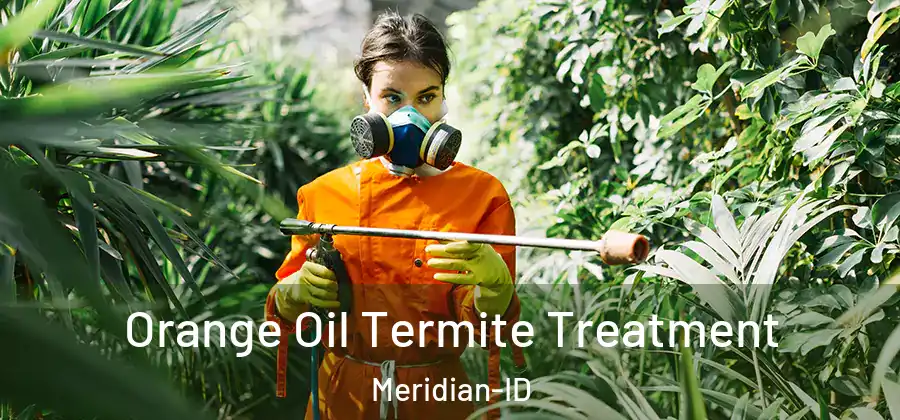 Orange Oil Termite Treatment Meridian-ID