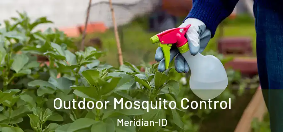 Outdoor Mosquito Control Meridian-ID