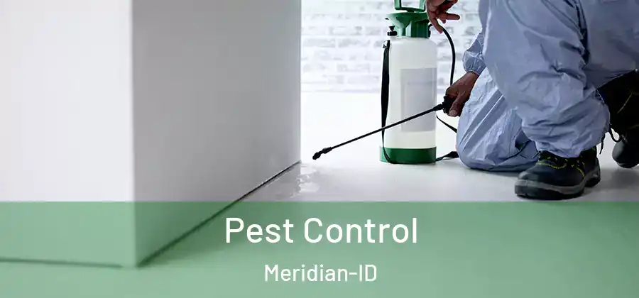  Pest Control Meridian-ID