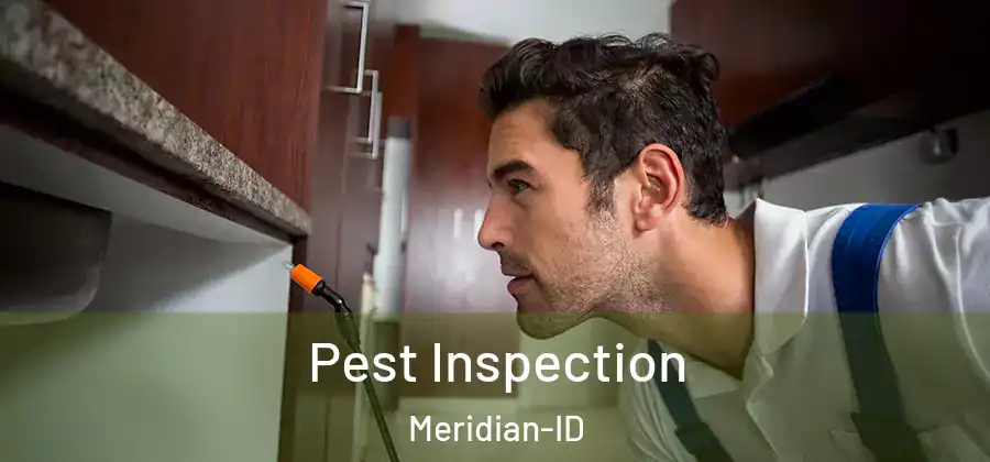 Pest Inspection Meridian-ID