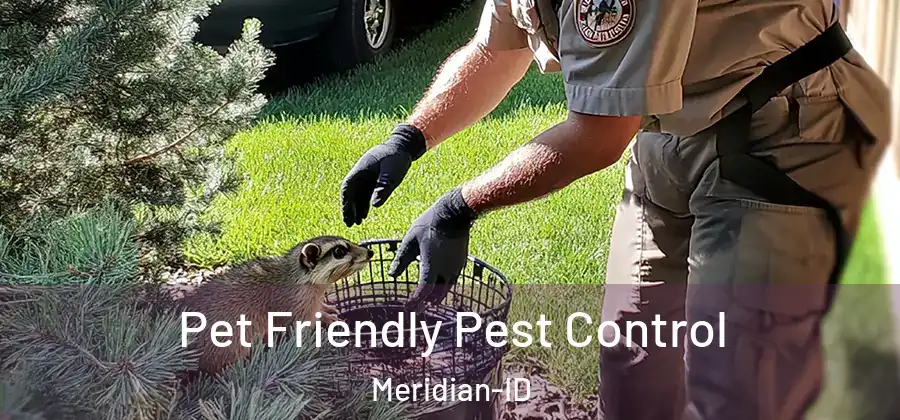  Pet Friendly Pest Control Meridian-ID