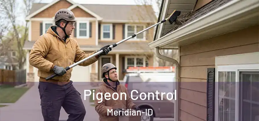 Pigeon Control Meridian-ID