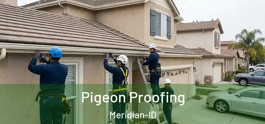 Pigeon Proofing Meridian-ID