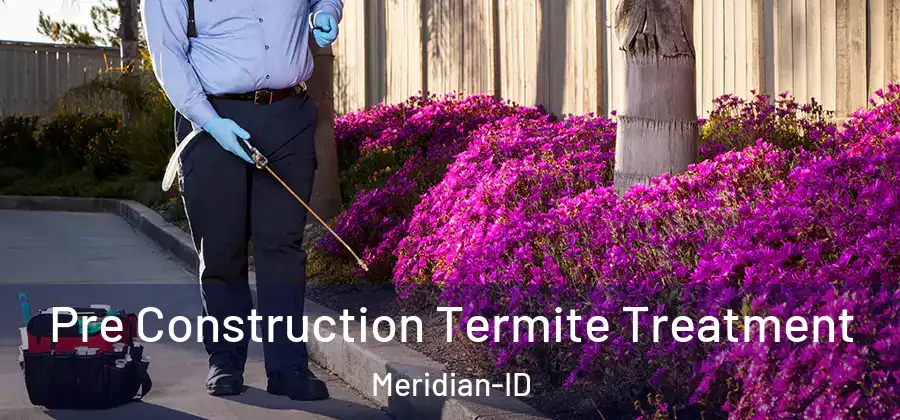 Pre Construction Termite Treatment Meridian-ID