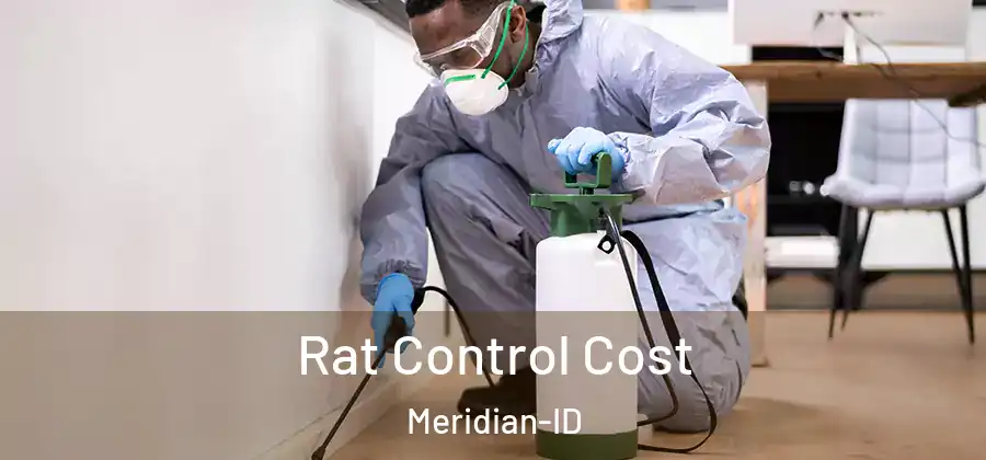 Rat Control Cost Meridian-ID