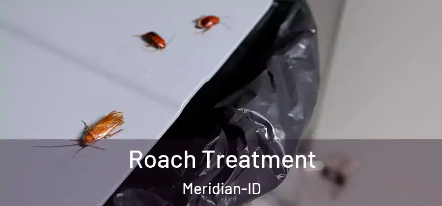  Roach Treatment Meridian-ID