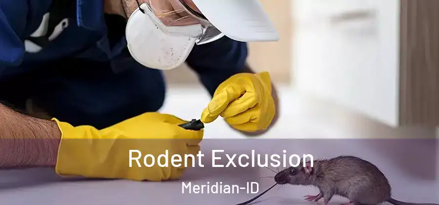  Rodent Exclusion Meridian-ID