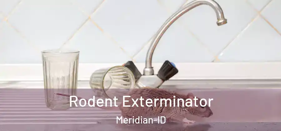 Rodent Exterminator Meridian-ID