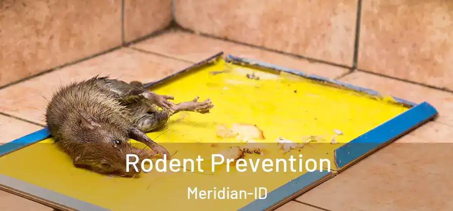Rodent Prevention Meridian-ID