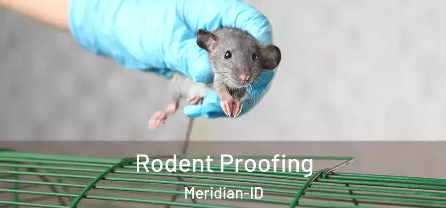 Rodent Proofing Meridian-ID