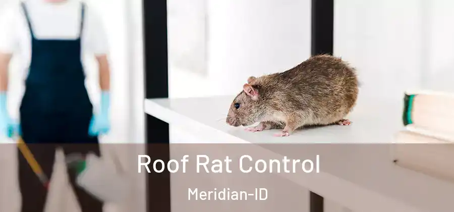 Roof Rat Control Meridian-ID