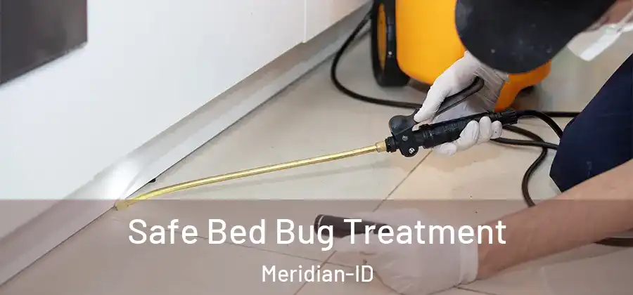  Safe Bed Bug Treatment Meridian-ID