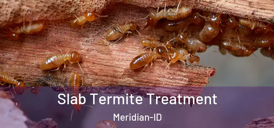  Slab Termite Treatment Meridian-ID