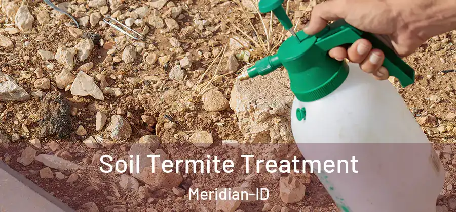 Soil Termite Treatment Meridian-ID