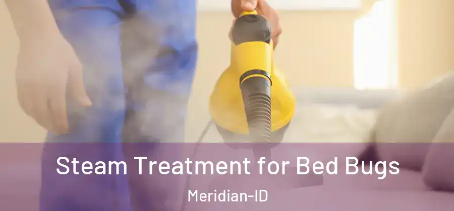  Steam Treatment for Bed Bugs Meridian-ID
