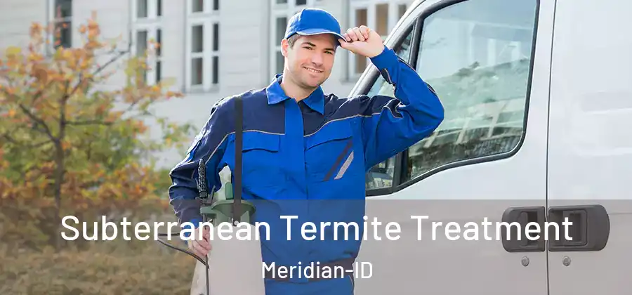 Subterranean Termite Treatment Meridian-ID