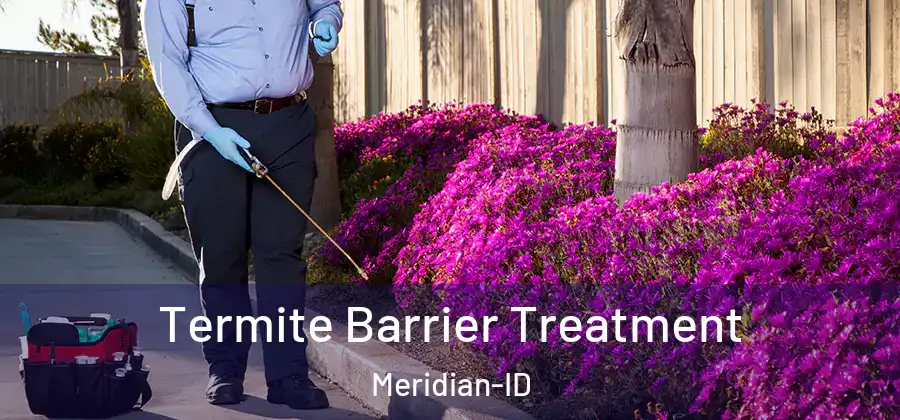 Termite Barrier Treatment Meridian-ID