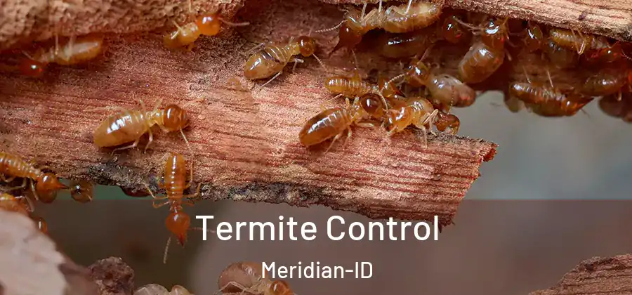 Termite Control Meridian-ID
