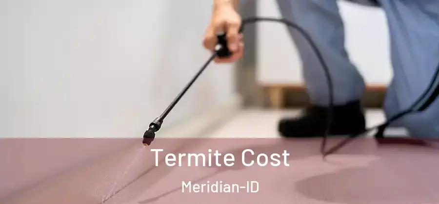  Termite Cost Meridian-ID