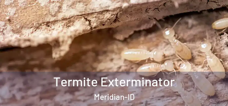 Termite Exterminator Meridian-ID