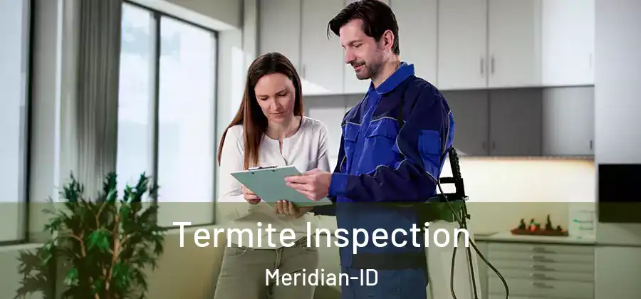 Termite Inspection Meridian-ID