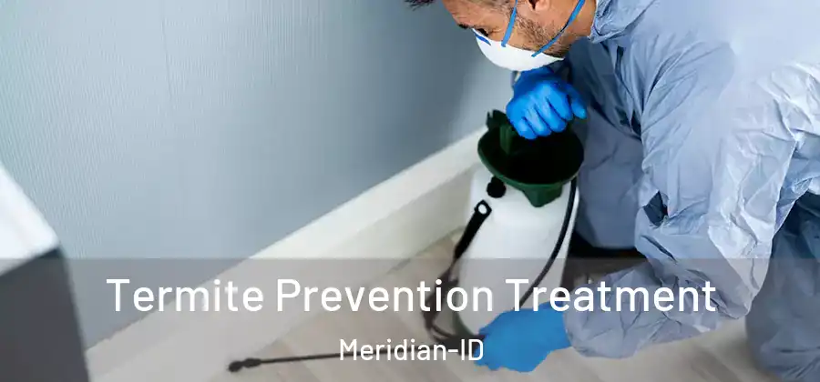 Termite Prevention Treatment Meridian-ID