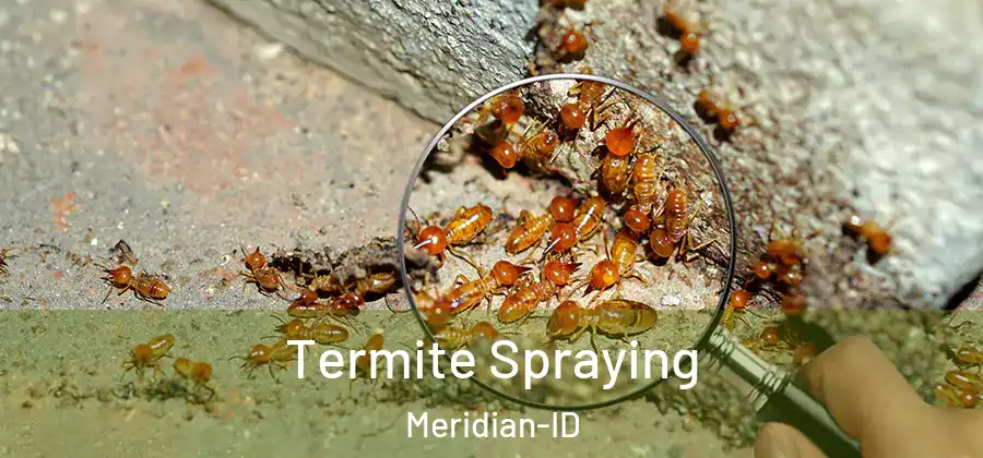  Termite Spraying Meridian-ID