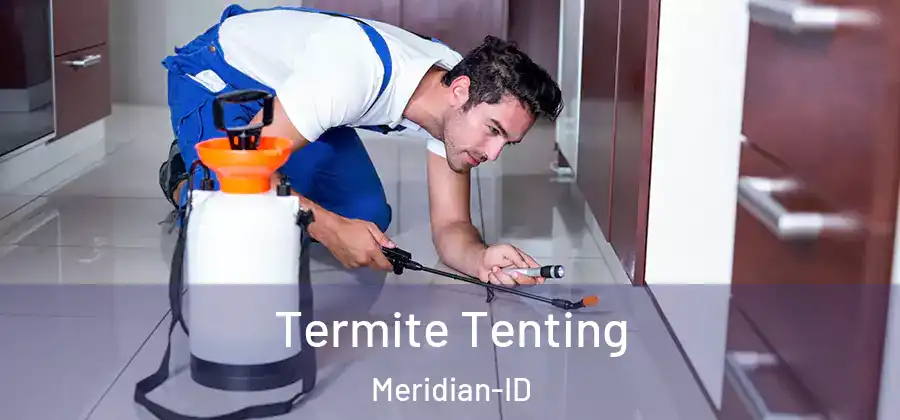  Termite Tenting Meridian-ID
