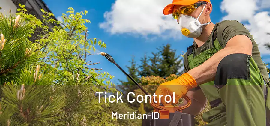  Tick Control Meridian-ID