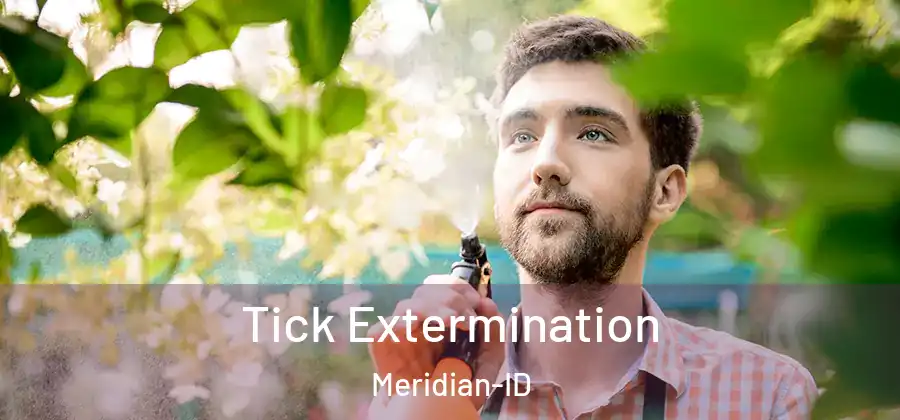  Tick Extermination Meridian-ID