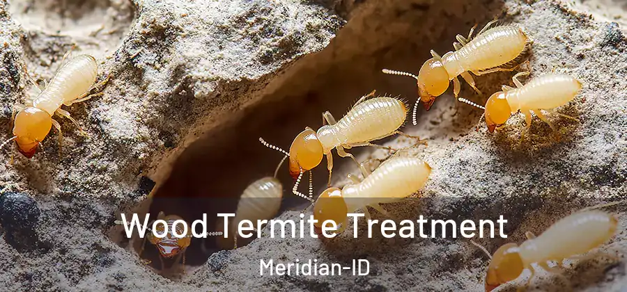 Wood Termite Treatment Meridian-ID